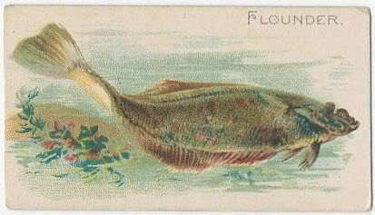 12 Flounder